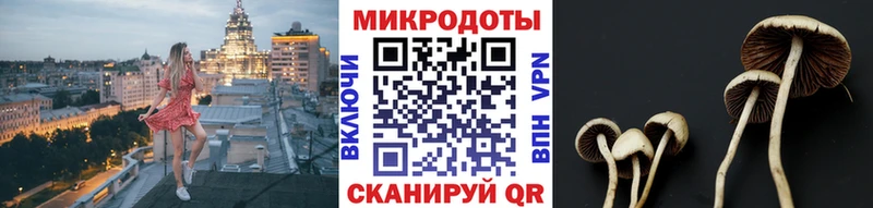 Купить  Бийск  Галлюциногенные грибы Magic Shrooms 